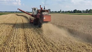 agrovolyn на TikTok