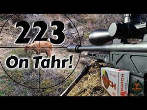 223 on Tahr: Hunting with the Elude Howa Mini and ELD-M ammo in Scenic New Zealand