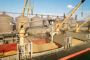 Loading grain into holds of sea cargo vessel through an automatic...