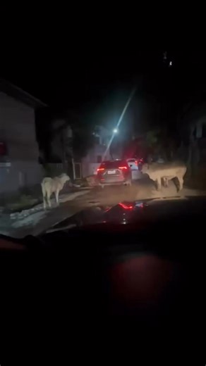 26K views · 324 reactions | Nasa Nova Hills na sila Regina | Batang NorCal | Facebook