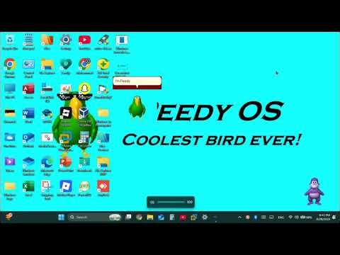 Peedy OS [Windows 11 25H2 Edition]