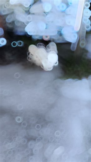 Dragon (@dytrj96onuvs)’s videos with T-Rex Roars - Halloween FX Productions