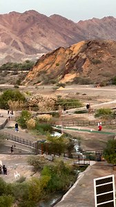 970K views · 5.5K reactions | Feeling on top of the world  礪 Soar through the mountains on the epic zipline adventure at Hatta Wadi Hub! #VisitDubai #VisitHatta #Hatta #adventure #zipline : IG/hattaoutdoor Visit Hatta | Visit Dubai | Facebook