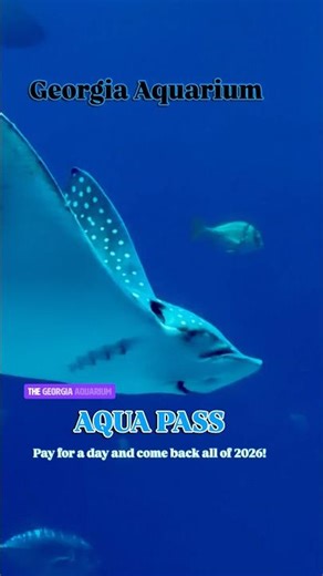 Georgia Aquarium Aqua Pass