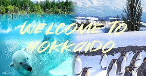 Tur Sehari Penuh Kebun Binatang Asahiyama, Air Terjun Shirasu, Hutan Peri, Teras, dan Prasmanan Lezat (Berangkat dari Sapporo) (Pemandu berbahasa Mandarin/Inggris) - Klook Indonesia