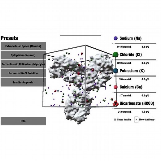 A Simple Ion Simulation