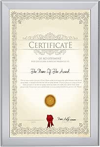 SnapeZo Photo Frame 11x17, Silver, 1.25 Inch Aluminum Profile, Front-Loading Snap Frame, Wall Mounting, Professional Series