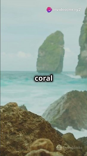 The Enigma of the Coral Castle: Built by a Single Man