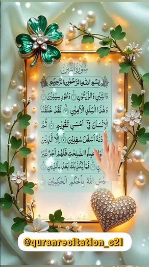 Surah At-Tin (وَالتِّينِ وَالزَّيْتُونِ) | Beautiful Quran Recitation | Soothing Islamic Video |