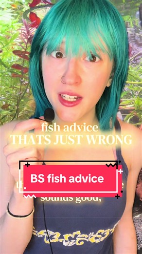 Debunking Common Betta Fish Care Myths