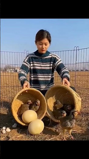 Organic farming in Thailand 🧺😀👌