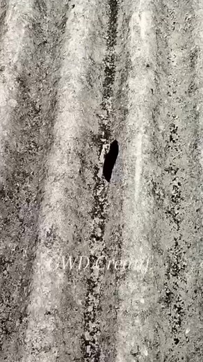 idea0022 (@idea0022)’s videos with 热门旋律(DJ完整版) - 69&DJ蒋先生&虞姬&DJ多多