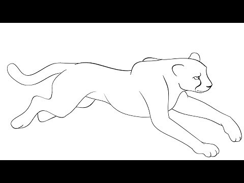 Cheetah Drawing Easy, How To Draw a Cheetah For Kids & Beginners Step By Step