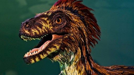 BBC Audio | In Our Time | Feathered Dinosaurs