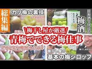 梅農家が青梅でできる梅仕事を一気に紹介します。梅酒、梅シロップ、梅エキス