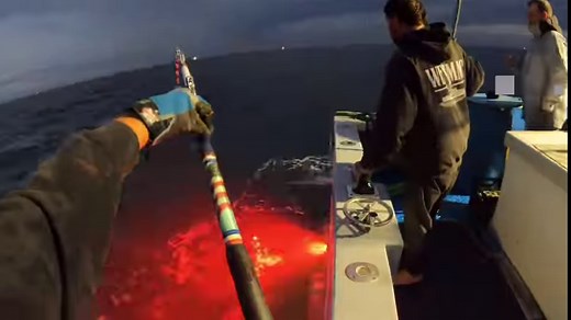 Wicked Tuna Season 13 continues live this Sunday night at 9/8c on National Geographic! @hardmerchjoe @hardmerchandisejay @captmarciano @angelicaseafoods #TailsupHardMerch #AngelicaFisheries #AngelicaSeafoods Angelicafisheries.com | F/V Hard Merchandise