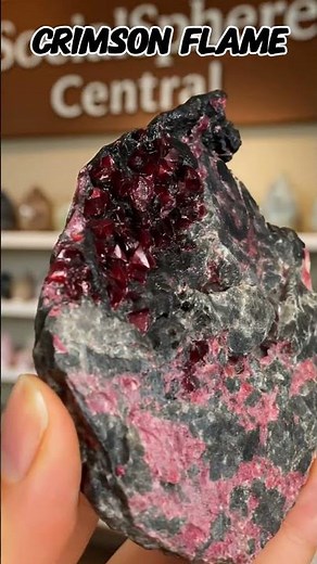 Carborundum, Bornite & Erythrite #minerals #crystals #geology