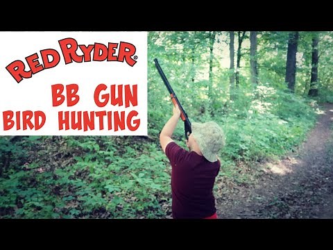Bird Hunter / Red Ryder BB Gun / Kids Hunting / FiveFold Outdoors