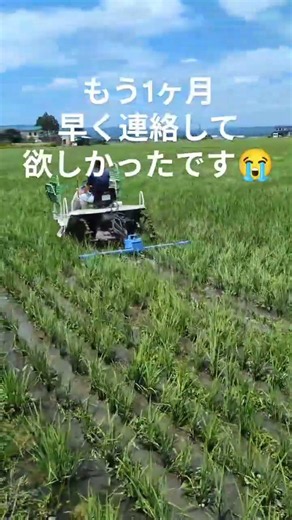 こんな田んぼもある！草ボーボーの田んぼを公開【美善/BIZEN】