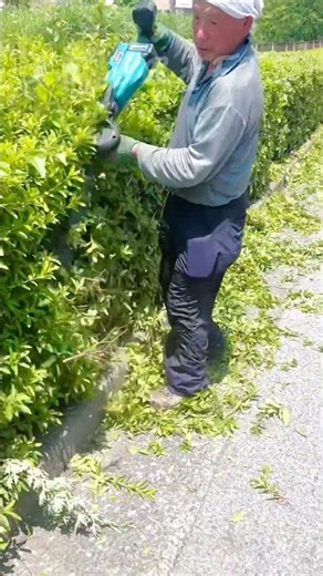 High Efficiency Electric Hedge Trimmer Garden Landscaping Guide ✂️