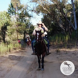 Do you know the movie 'The Man from Snowy River'? 🤠 Have you ever been intrigued by exploring iconic Aussie landscapes with incredible Aussie horsemen and women? 🇦🇺 Are you looking for an Australian adventure like no other? 🏇 YES?! Great, we have the PERFECT horse riding vacation for you! 🙌 Introducing our world-exclusive 𝗧𝗵𝗲 𝗦𝗻𝗼𝘄𝘆 𝗥𝗶𝘃𝗲𝗿 𝗥𝗶𝗱𝗲, 𝗔𝘂𝘀𝘁𝗿𝗮𝗹𝗶𝗮. Inspired by the legendary poem and movie, this horse riding vacation invites you to discover the rugged beauty o