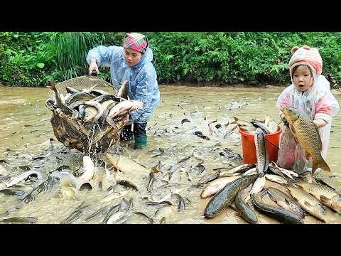 Incredible Discovery: Finding Many Large Fish In A Secluded Wild Pond