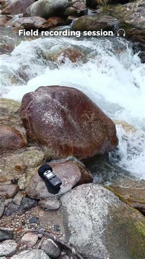 Field Recording Session 🎧 Capturing Real Mountain River Sound in the Tien Shan Mountains