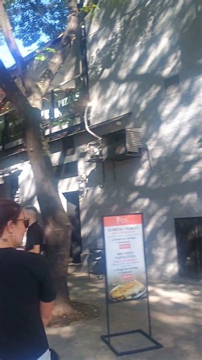 Palermo Soho, Buenos Aires el 22/03/26, 16:18 horas...