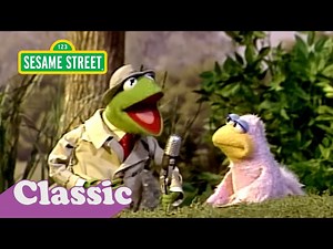 Sesame Street: The Bird Family Song | Kermit News - Videos For Kids
