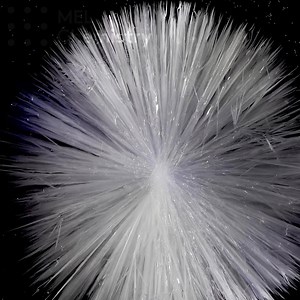 406 reactions · 177 shares | ⭐⭐⭐⭐⭐ "The Best STEM Kits to Engage, Entertain and Educate (Perfect for your homeschooling curriculum!)" All supplies provided Experiments are fun and not complicated Safety instructions included | MEL Science | Facebook