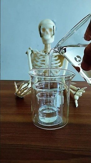 Disappearing Beakers Experiment – Skeleton Shocked!#RefractionExperiment#InvisibleGlass
