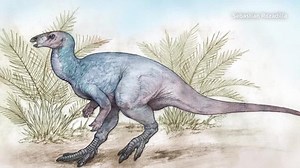 Scientists discover new dinosaur in Argentina