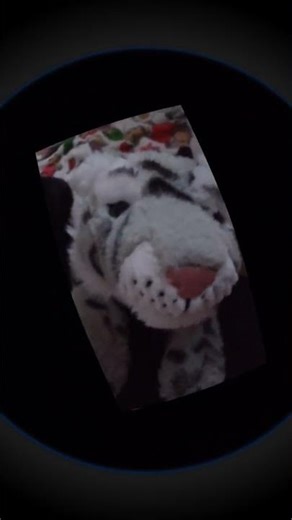 Chamoy #memes #lifeisbutadream #audioclip #funny #ihavethisthingwithplants #プロセカ