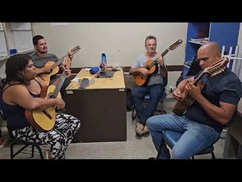 menino da porteira viola caipira