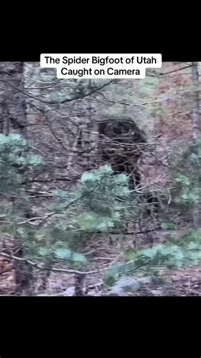 Spider Bigfoot of Utah caught on camera — alleged largest Bigfoot sighting