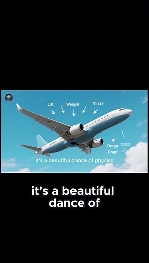How Do Airplanes Fly? | Wonders of Physics #airplanes #flightexplained #airplane