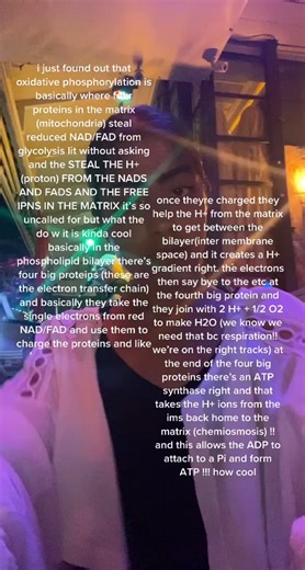 oxidative phosphorylation!! i hope this helps lmao #alevelbiology #iluvbio #fyp