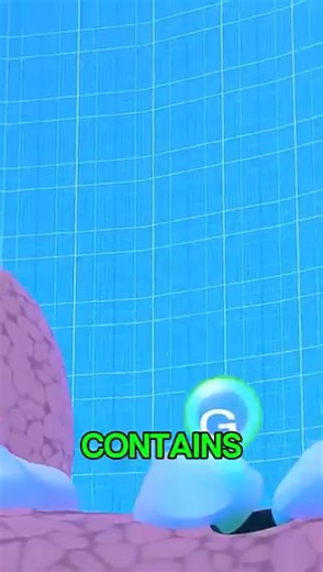 Health Benefits of Drinking Beer in Moderation PAy Attention And Follow for More | Bobzeno TV