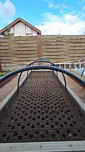 406K views · 7.1K reactions | Ideal radish sowing. | Harvest Garden | Facebook