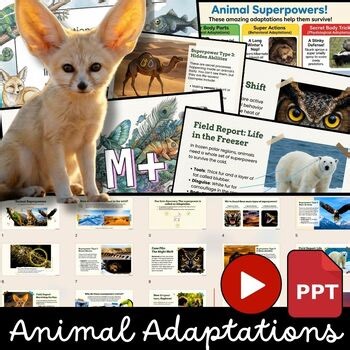 Animal Adaptations Inquiry Animals Adapt to Environment 1–5 Posters, Video, PPT