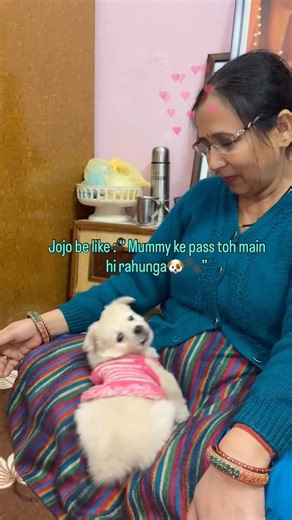 Part 2 Mummy ke pass toh main hi rahunga 😍🐶💕👀 #shorts#youtubeshorts#viral#dog #emotional