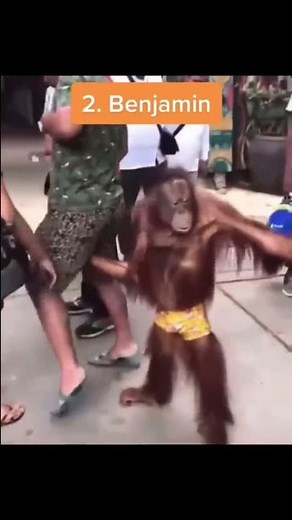 Animals that acted way too sus part 2 👀💀