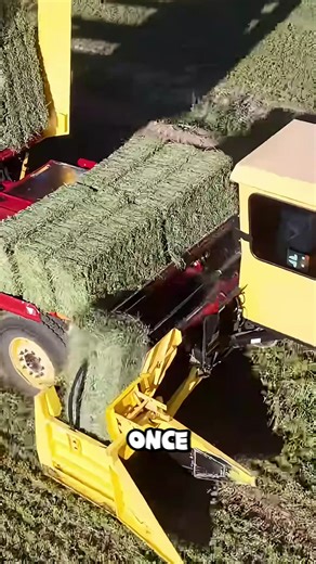 This self-propelled bale handler automates what once took hours of heavy lifting. #SmartFarming #AgricultureTech #SatisfyingWork #fblifestyle | Taylor’s on Toft