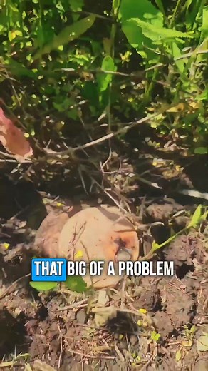 275K views · 2.2K reactions | The TM62-P3 AT landmine is a majority...