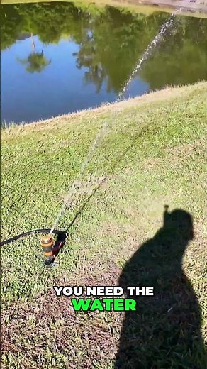 Long Reach LIGHTWEIGHT Power! GIRAFFE TOOLS 100ft Garden Hose Review | NO KINKS | Reviews Unscripted