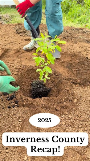 Here is a snapshot of some of the work we got up to this year in the Municipality of the County of Inverness ! Thank you to everyone who made this another incredible year ❤ | ACAP Cape Breton