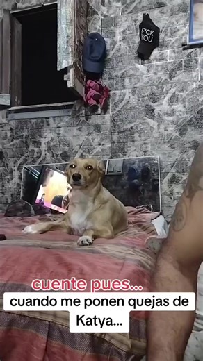 pero yo no les creo.ella es un angelito
