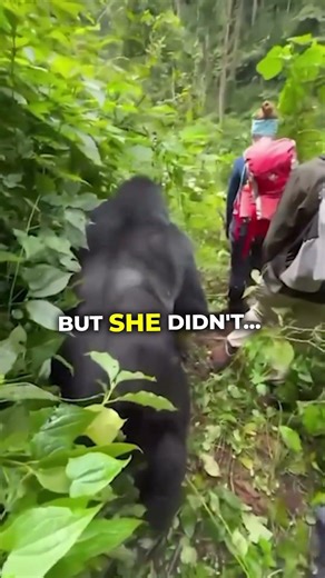 ALWAYS listen to your tour guide 😂