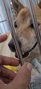 17K views · 2.7K reactions | Bradley this morning . Our fantastic...