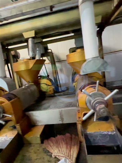 Oil pressing plant with a daily processing capacity of 100 tons #oilpress #oilpressmachine